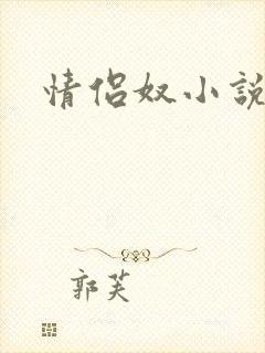 情侣奴小说