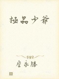 极品少爷