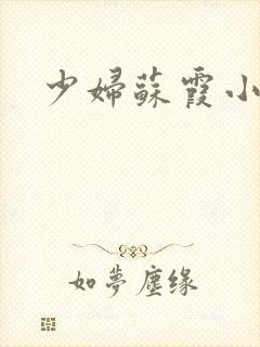 少妇苏霞小说