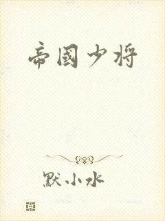 帝国少将封面