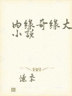 内缘奇缘大团圆小说
