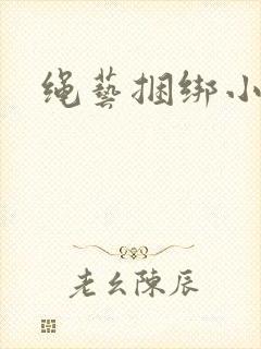 绳艺捆绑小说