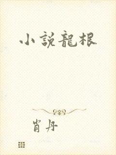 小说龙根封面