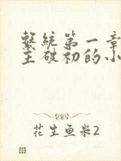系统第一章给宿主破初的小说