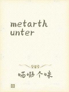 metarthunter封面