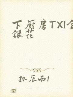 下厨房TXl金银花