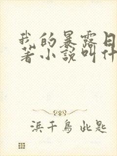 我的暴露日记原著小说叫什么