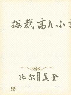 总裁高h小说