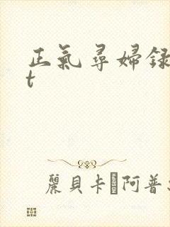 正气寻妇录txt