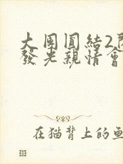 大团圆结2闪闪发光亲情会