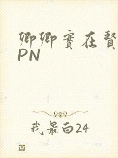 卿卿实在贤良NPN