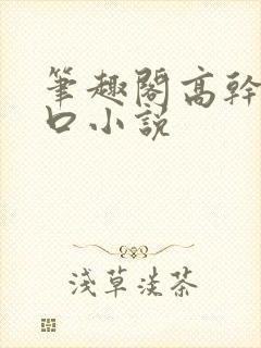 笔趣阁高干文入口小说