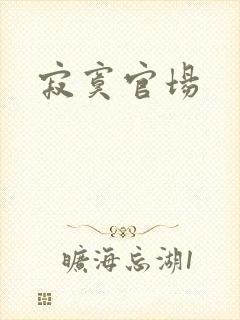 寂寞官场