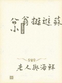 公翁挺进苏玥的小泬
