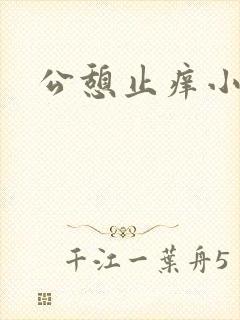 公憩止痒小说封面