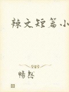 辣文短篇小说