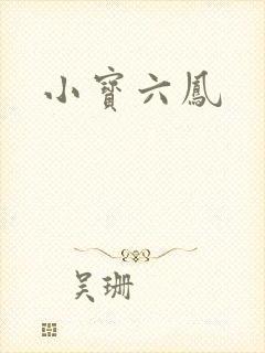 小宝六凤