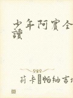 少年阿宾全集阅读