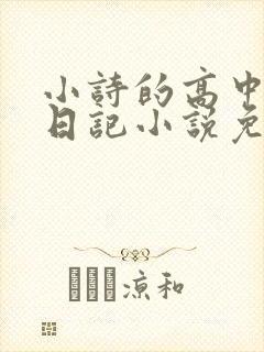 小诗的高中成长日记小说免费阅读