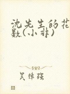 沈先生的花式调数(小非)