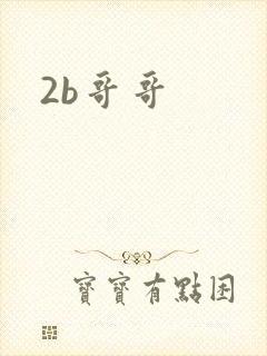 2b哥哥