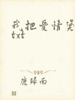我把爱情煲成汤txt