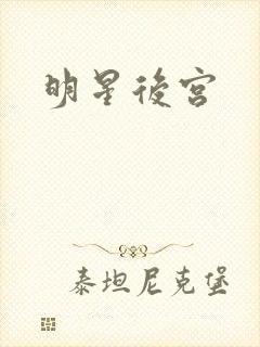 明星后宫