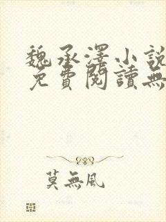 魏承泽小说全文免费阅读无弹窗笔趣
