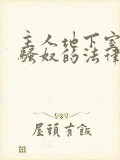 主人地下室惩罚骚奴的法律后果