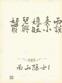 好儿媳秦雨罗明罗兴旺小说