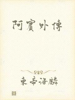阿宾外传封面
