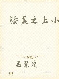 膝盖之上小说封面