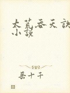 太荒吞天诀免费小说