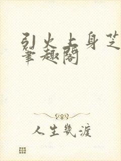 引火上身芝麻糖笔趣阁封面