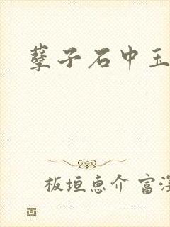 孽子石中玉封面