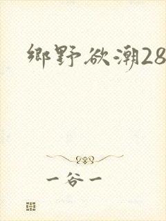 乡野欲潮28章
