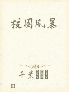 校园风暴