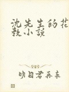 沈先生的花式调教小说