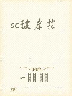 sc彼岸花封面
