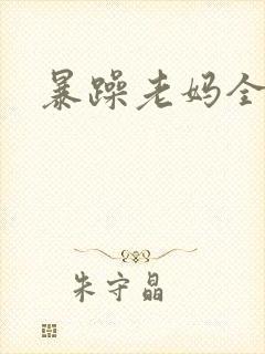暴躁老妈全集封面