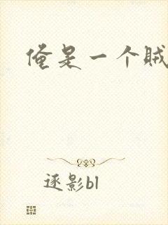 俺是一个贼