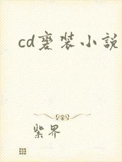 cd变装小说封面