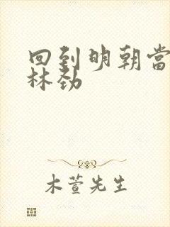 回到明朝当王爷林劲