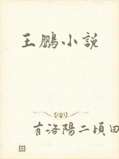 王鹏小说