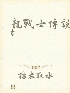 龙战士传说txt