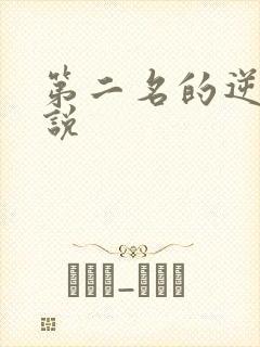 第二名的逆袭小说