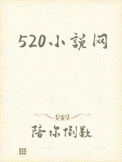 520小说网