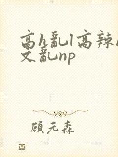 高h乱l高辣h文乱np