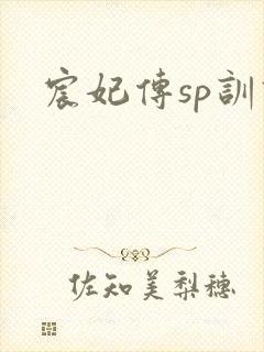 宸妃传sp训诫