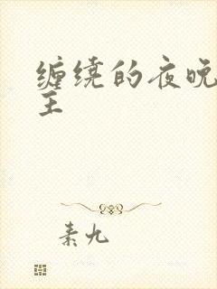 缠绕的夜晚双男主